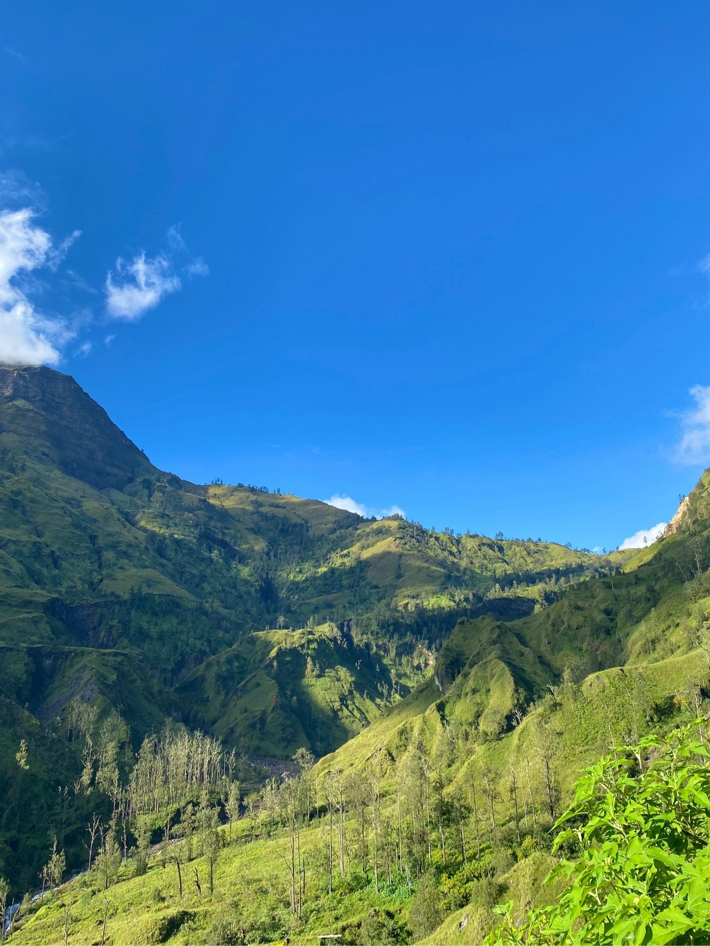 Rinjani 3D2N Trekking Sembalun to Torean | Rinjani Crew