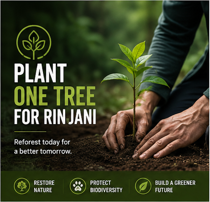 Plant One Tree for Rinjani